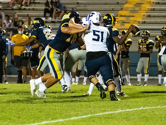 DAV_2870