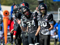 Park Ridge Falcons