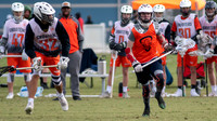 20210109-DAV_8792